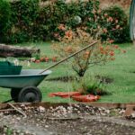 Offer Your Services as a Gardene