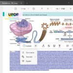 Directly interact with PDFs