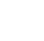 logo-light